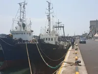 트롤 어선 판매 중