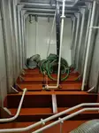크루즈선 판매 중