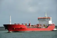 Oil/Chemical tanker 판매용