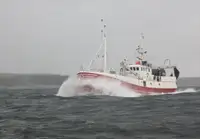 Trawler 판매용