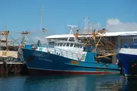 Trawler 판매용