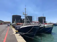 Longliner 판매용