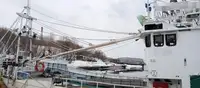 트롤 어선 판매 중