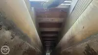 크루즈선 판매 중