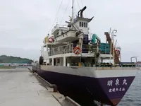 General Cargo/Multi-purpose 판매 중