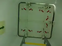 벌크선 판매 중