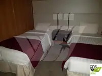 크루즈선 판매 중