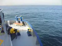 냉동선 판매 중