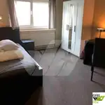 숙박 바지선 판매 중