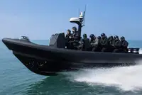 강성 고무 보트 판매 중