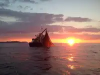Trawler 판매용