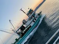 선망 어선 판매 중