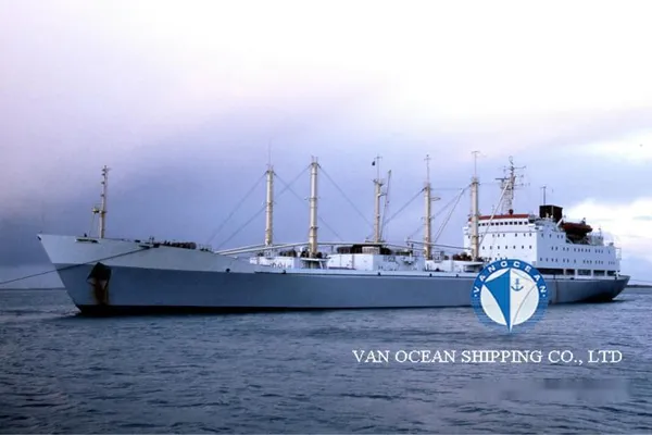 Reefer ship for sale