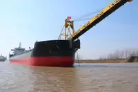 벌크 선 판매용