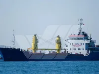 General Cargo/Multi-purpose 판매 중