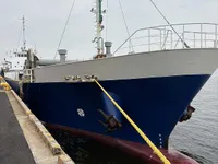 General Cargo/Multi-purpose 판매 중