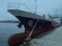 General Cargo/Multi-purpose 판매 중