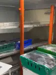 크루즈 페리 판매 중