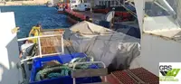 보급선 판매 중