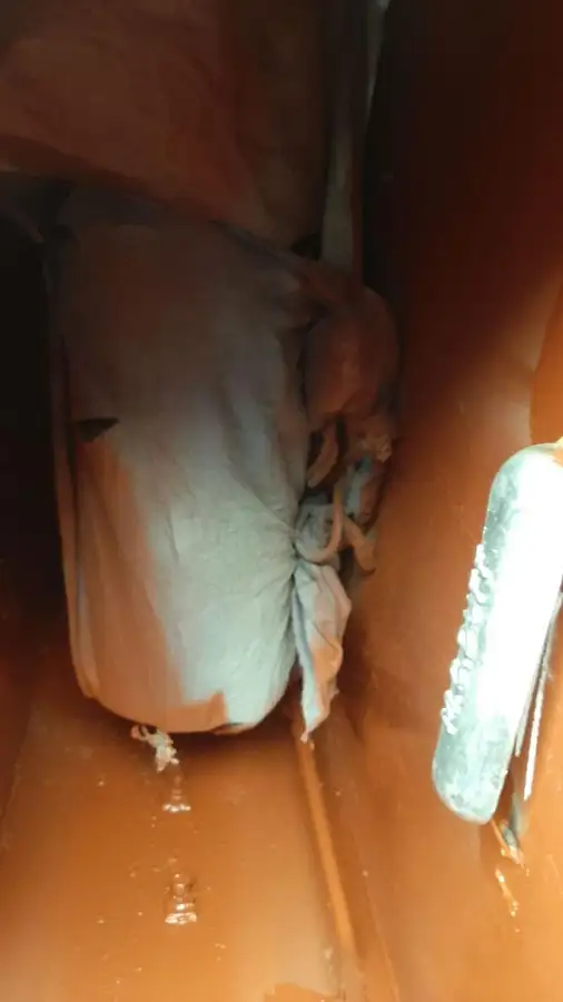 보급선 판매 중
