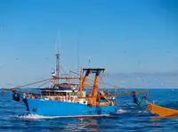 Trawler 판매용