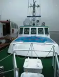 파일럿 보트 판매용