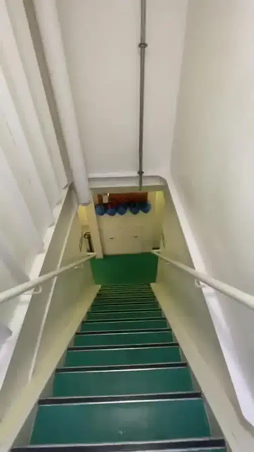 크루즈선 판매 중