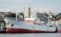 Trawler 판매용