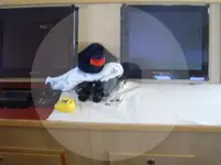 트롤 어선 판매 중