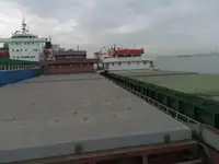 벌크 선 판매용