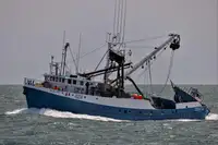 선망 어선 판매 중