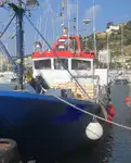 Trawler 판매용