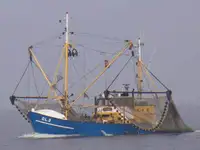 Trawler 판매용