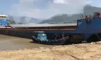 짐배 판매용
