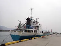 General Cargo/Multi-purpose 판매 중