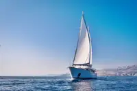 크루즈선 판매 중