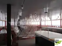 크루즈선 판매 중