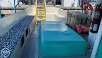 크루즈선 판매 중