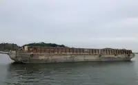 짐배 판매용