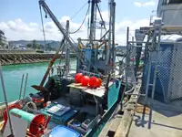 Trawler 판매용