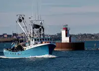 Purse seiner 판매용