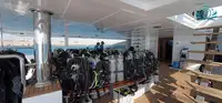 크루즈선 판매 중