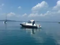 크루보트 판매용