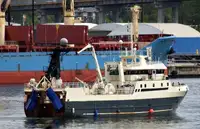 Trawler 판매용