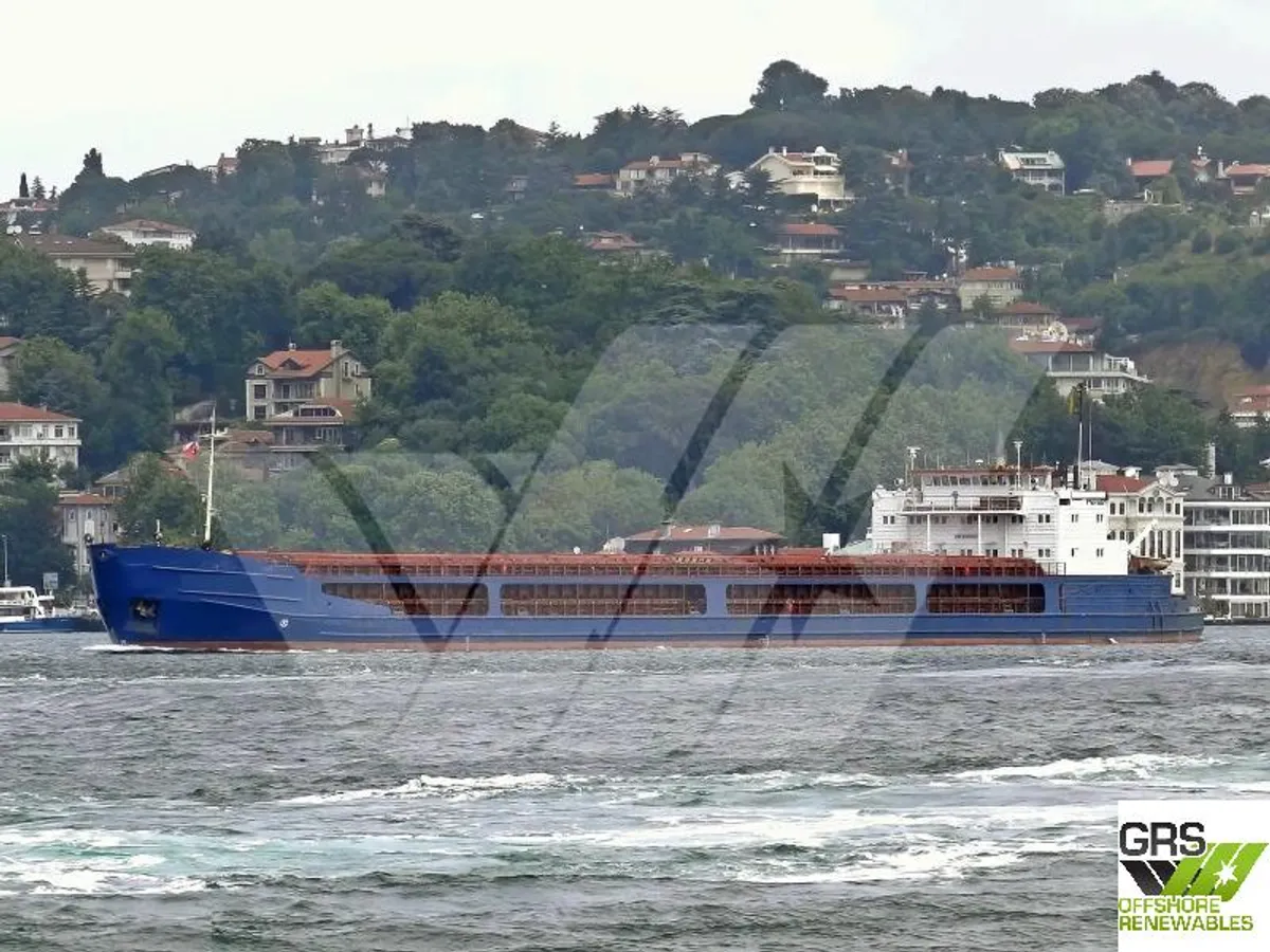 General Cargo/Multi-purpose 판매 중