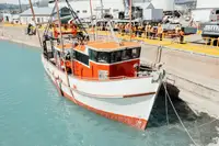 Trawler 판매용