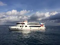 크루즈선 판매 중