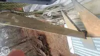 크루즈선 판매 중