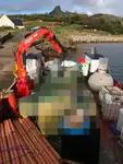 작업용 선박 판매 중