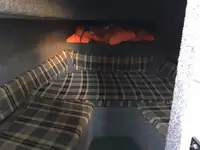 조종선 판매 중